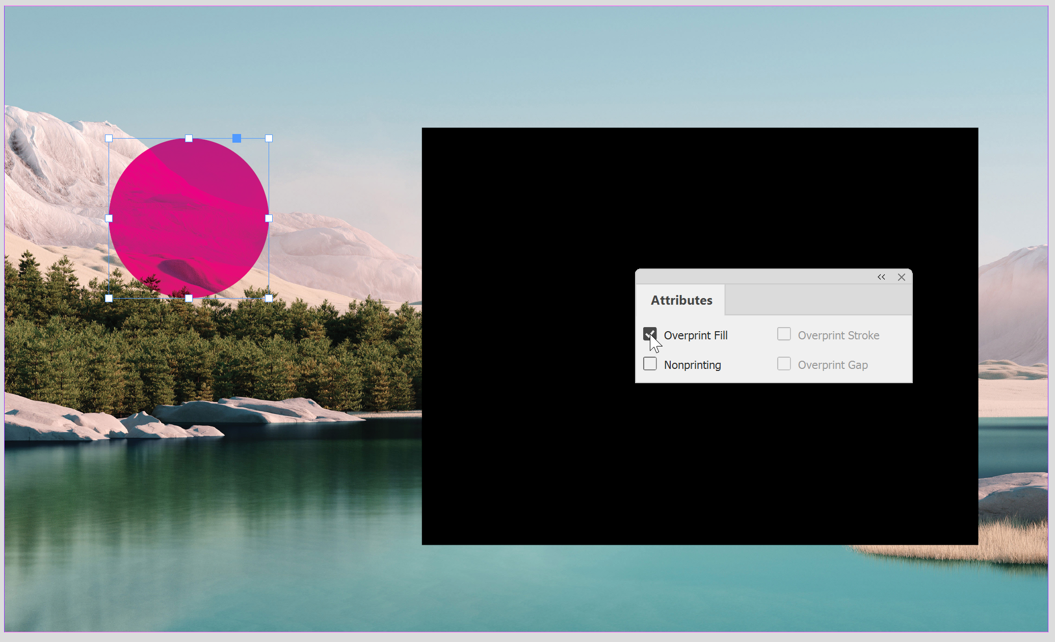 InDesign Attributes panel with Overprint Fill ticked on a selected object