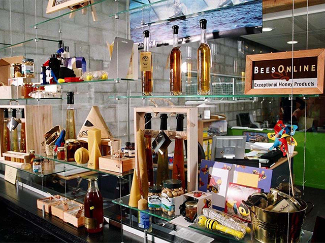 Shop Shelves