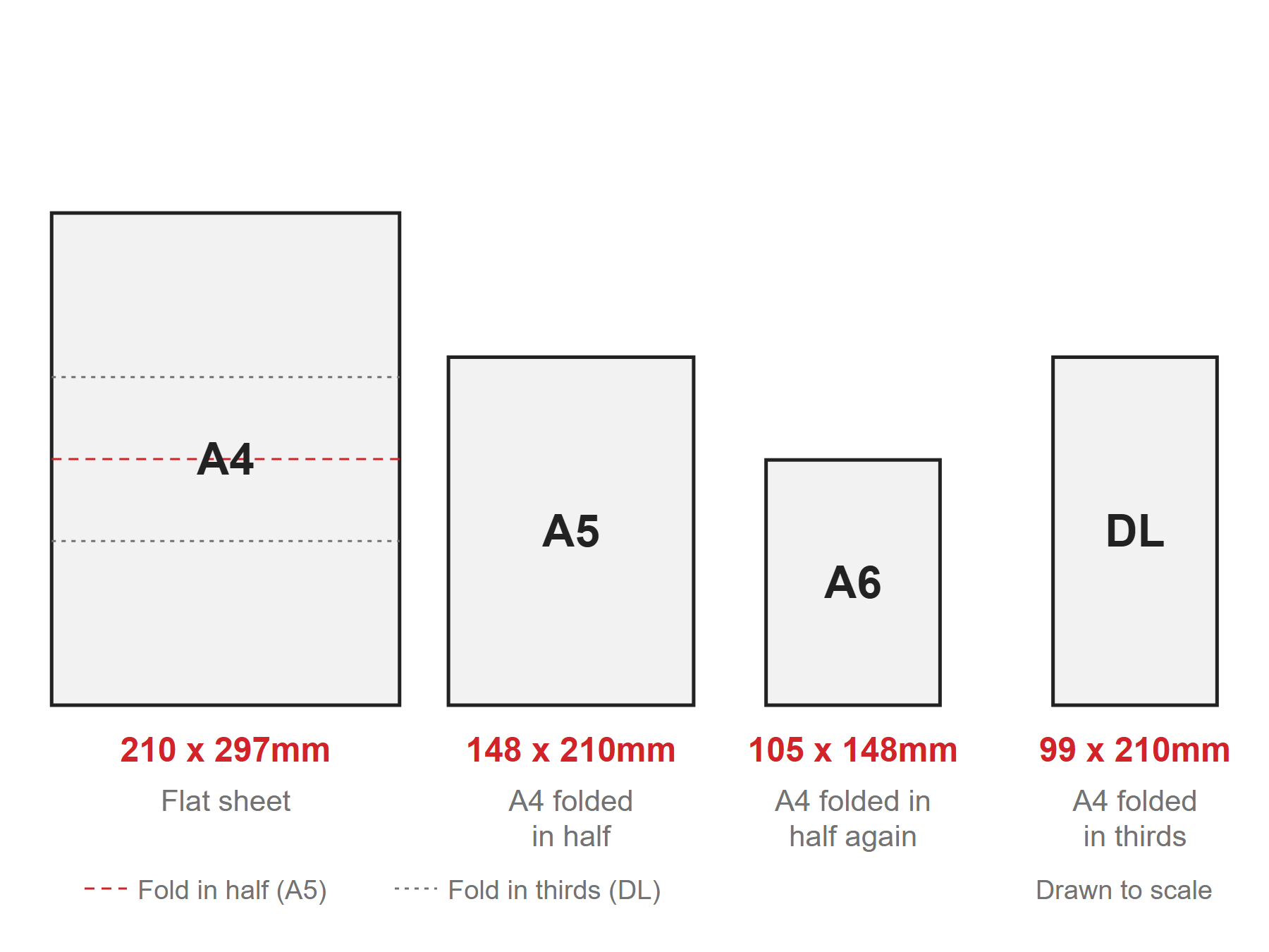 What size are DL, A4 and A5 brochures, and what holder do they fit?