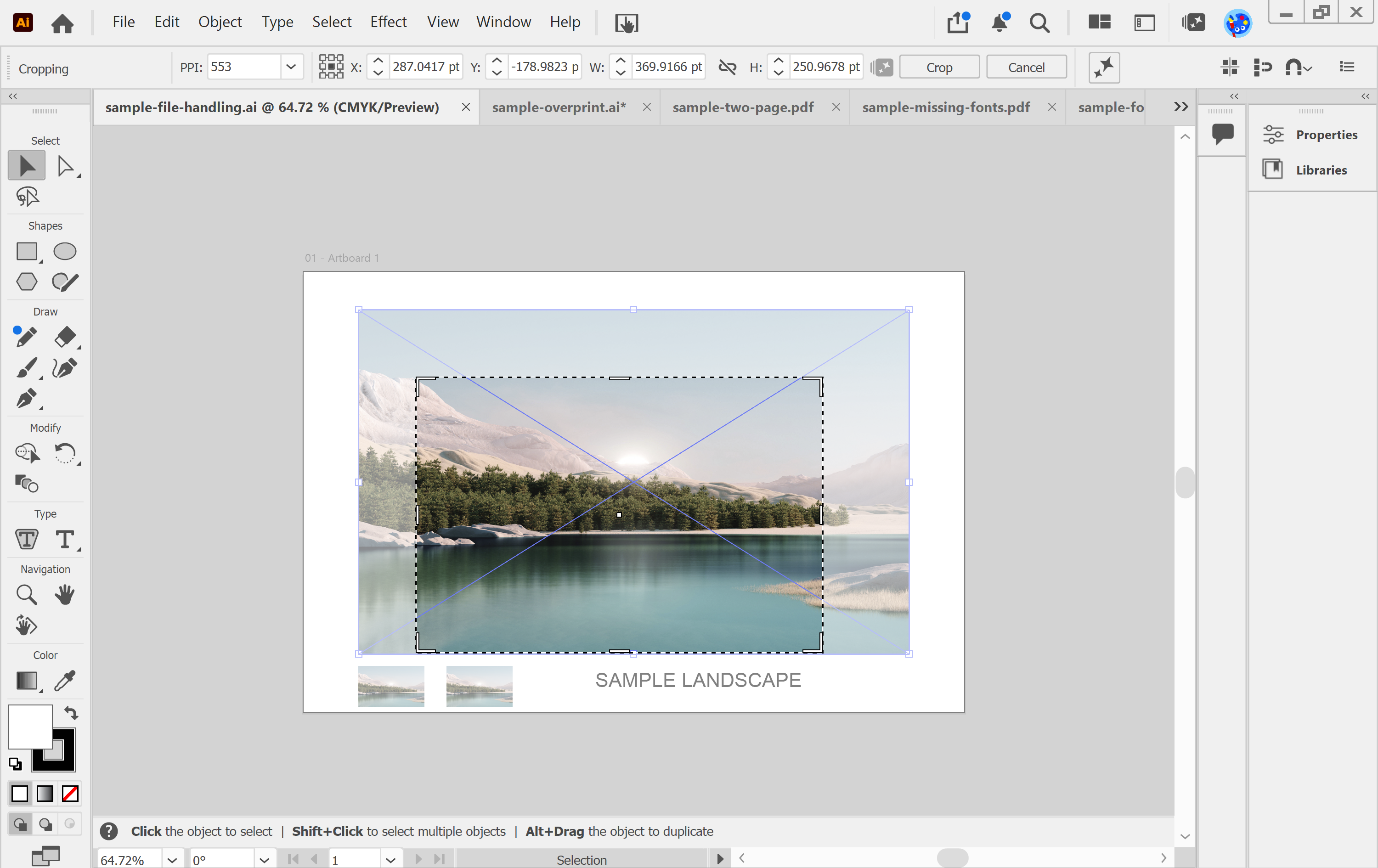 Illustrator Crop Image with the crop widget on a photo and the PPI field and Crop button in the Control panel