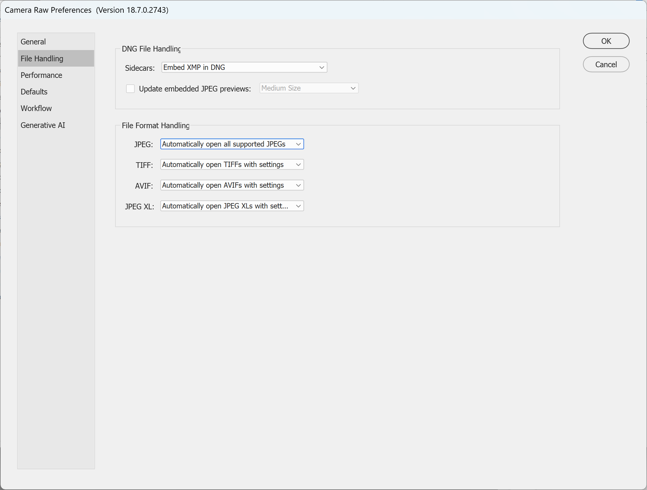Camera Raw Preferences File Handling tab with JPEG set to open automatically in Camera Raw