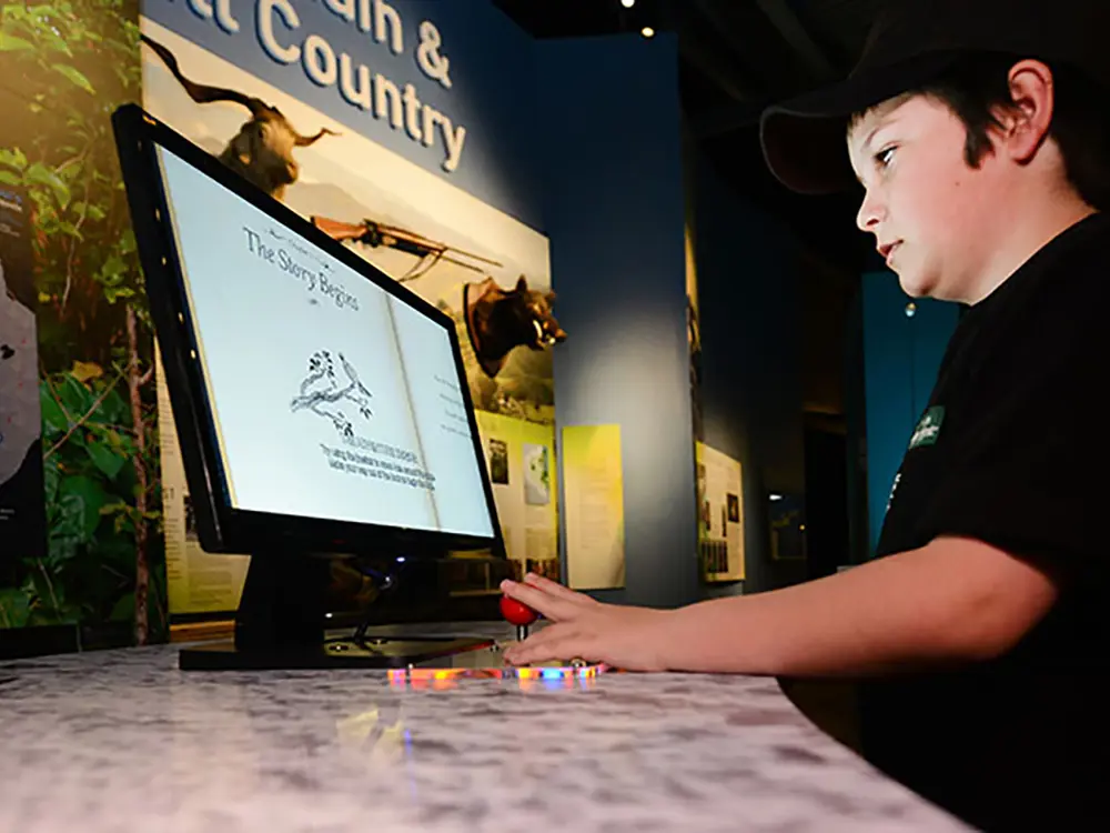Interactive Flat Panels