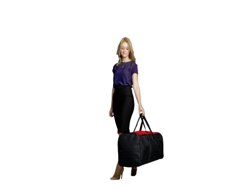 Carry bag for the Big Mural