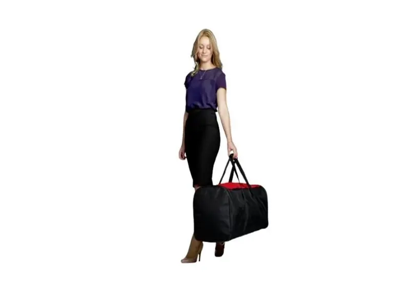 Carry bag for the Big Mural