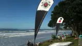 Teardrop flags on a beachfront lawn