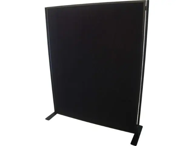 Panel Display