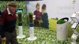 Exhibition display idea with live grass and soil columns