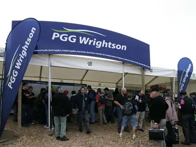 Giant Header Board